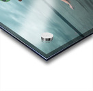 CCCI 17 Acrylic print