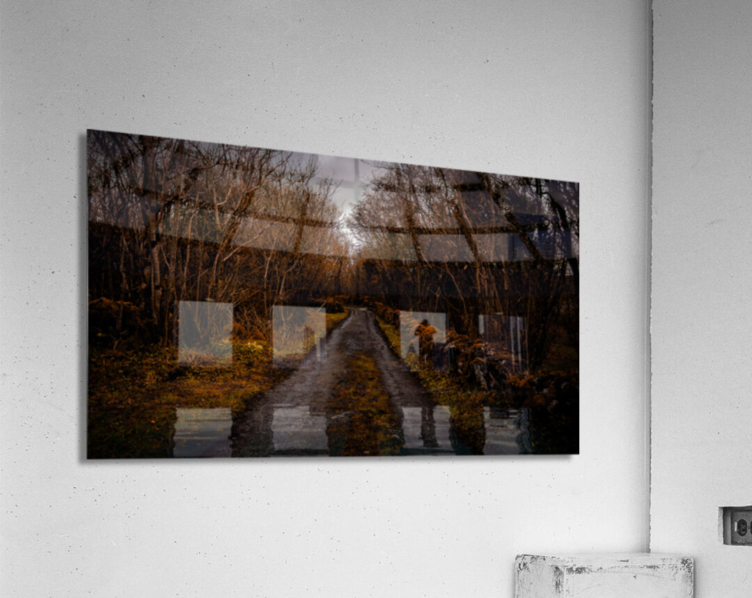 Burren National Park III Acrylic Print