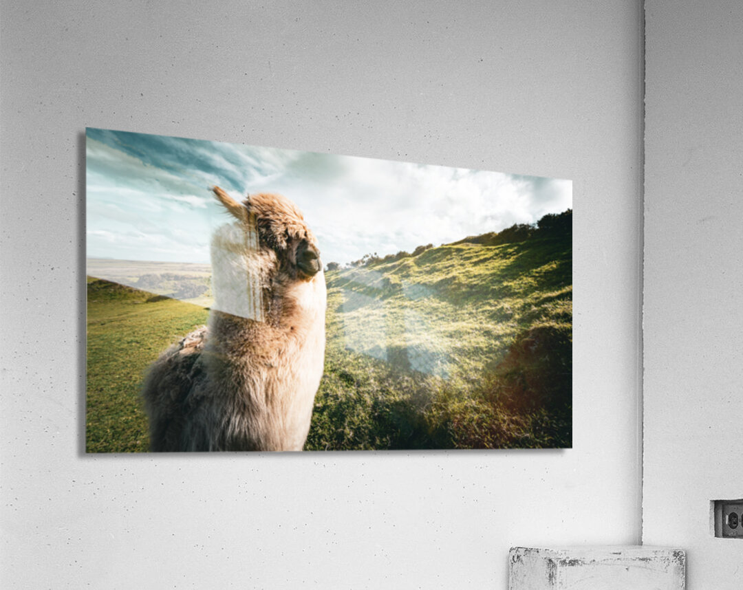 Faerie Circle Acrylic Print