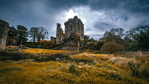 Blarney Castle I