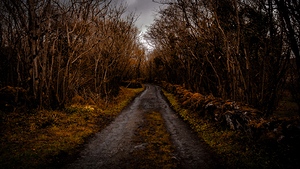 Burren National Park III by Massey Original