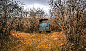 Burren National Park