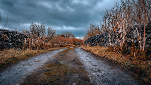 Burren National Park by Massey Original