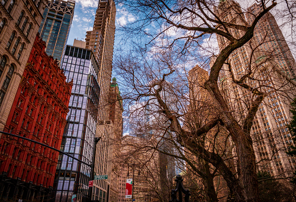 Standing on the Edge of Summer Print