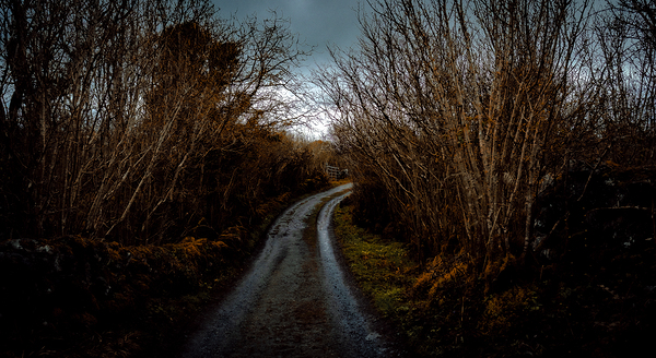 Burren National Park V Print