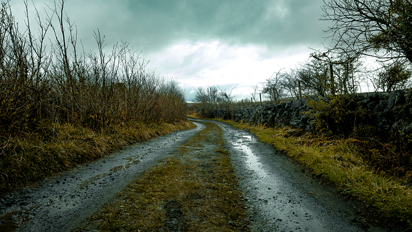 Burren National Park VI Print