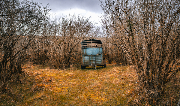 Burren National Park Print