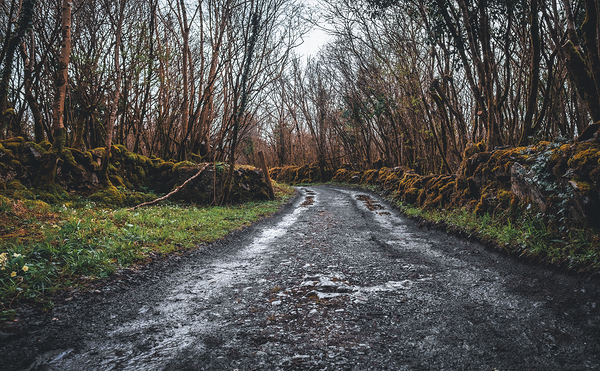 Burren National Park I Print