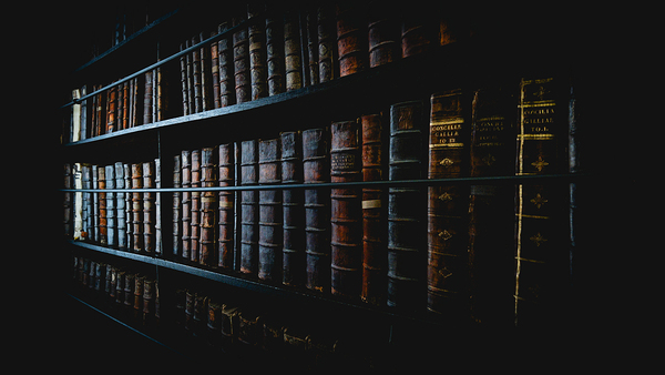 Marshs Library I Print