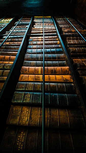 Marshs Library Print