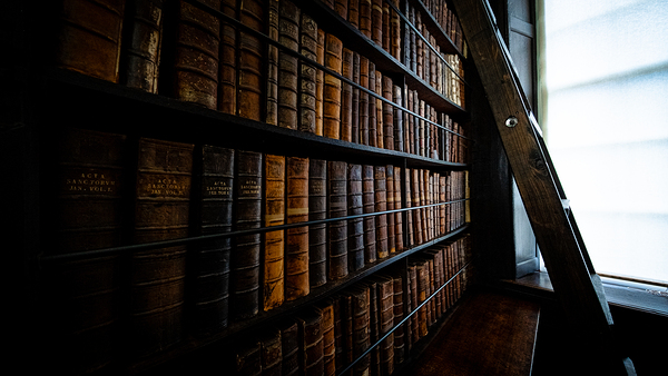 Marshs Library II Print