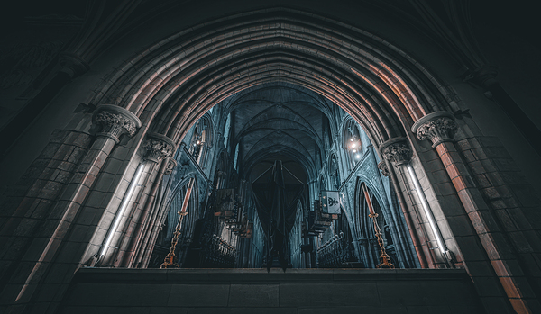 Saint Patricks Cathedral I Print