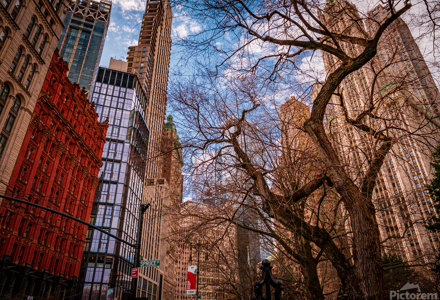 Standing on the Edge of Summer  Print