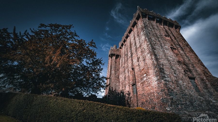 Blarney Castle  Print
