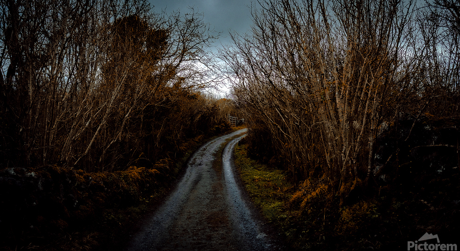 Burren National Park V  Print