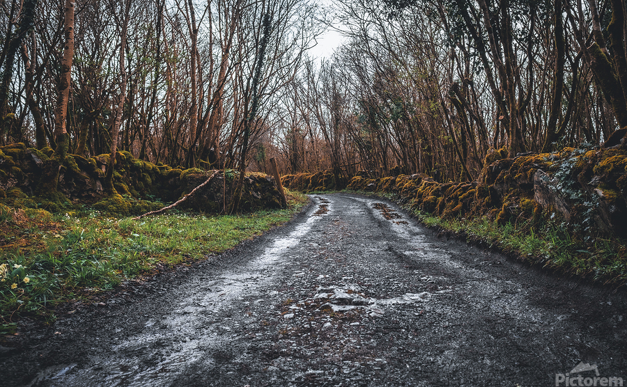 Burren National Park I  Print
