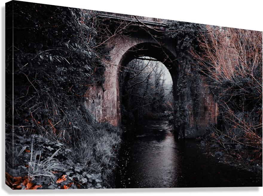 Lisdoovarna Canvas Print