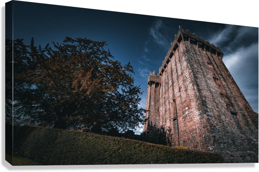 Blarney Castle Canvas Print
