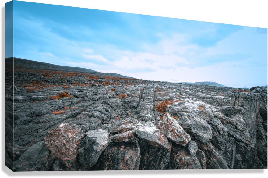 Burren National Park Canvas Print