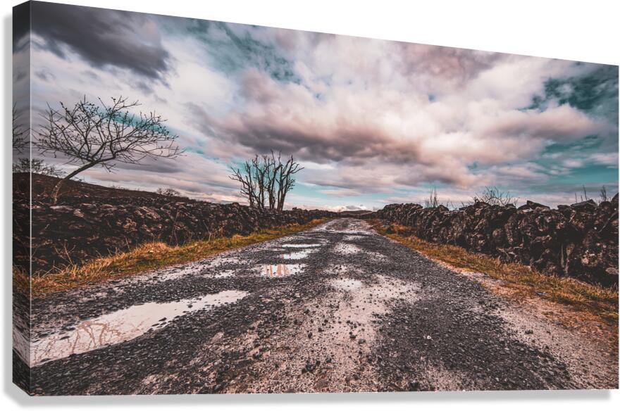 Burren National Park II Canvas Print