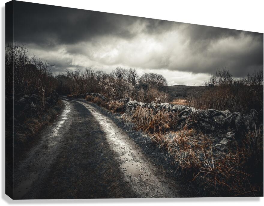 Burren National Park IV Canvas Print