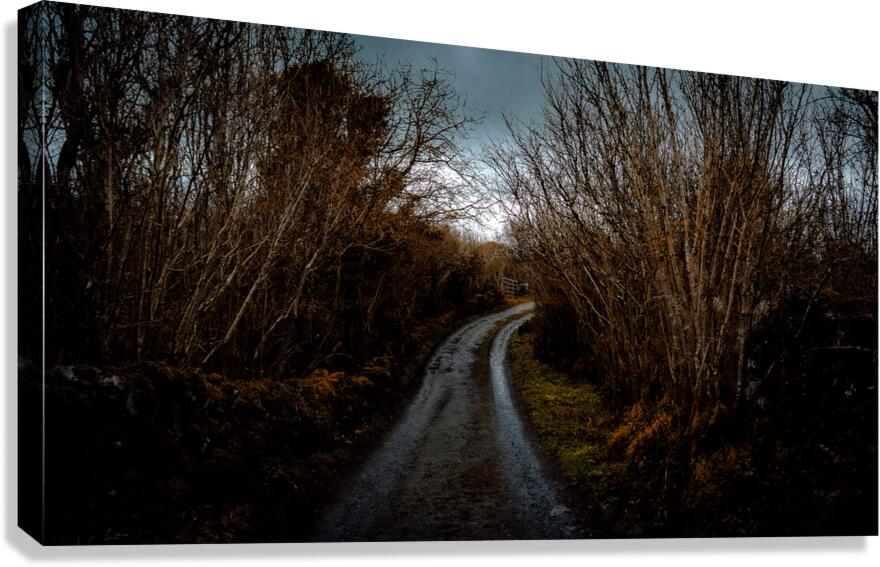 Burren National Park V Canvas Print