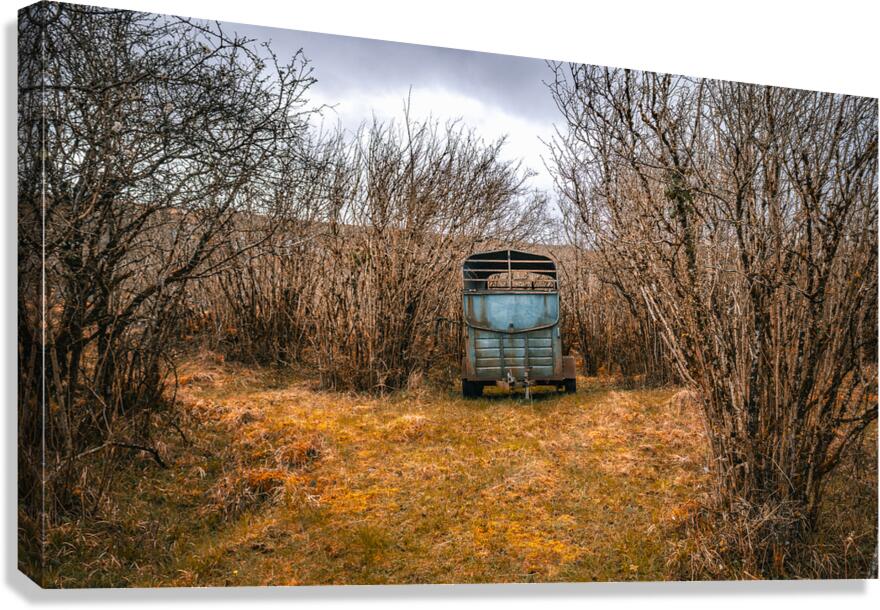 Burren National Park Canvas Print