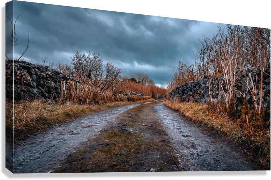 Burren National Park Canvas Print