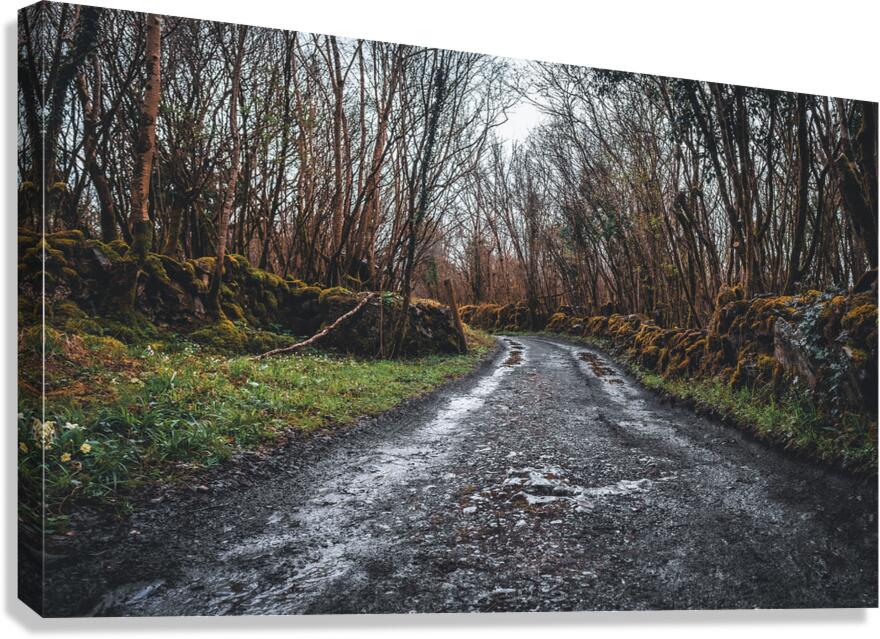 Burren National Park I Canvas Print