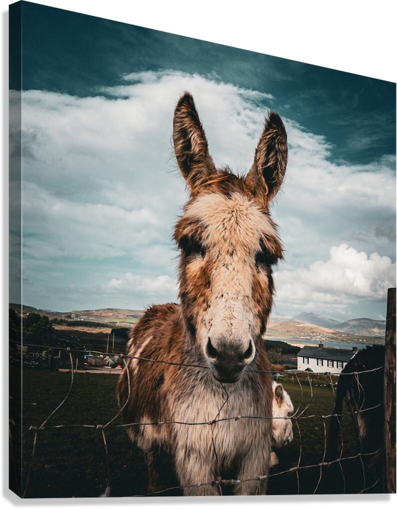 Faerie Circle II Canvas Print