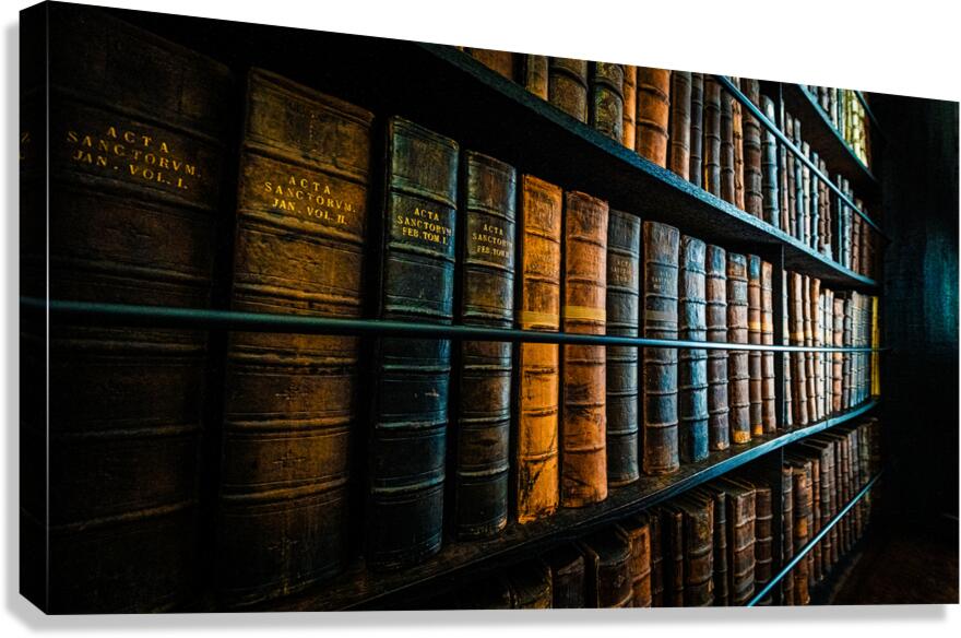 Marshs Library Canvas Print