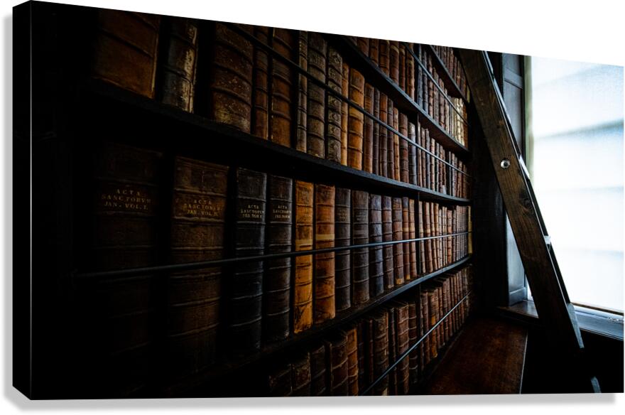 Marshs Library II Canvas Print