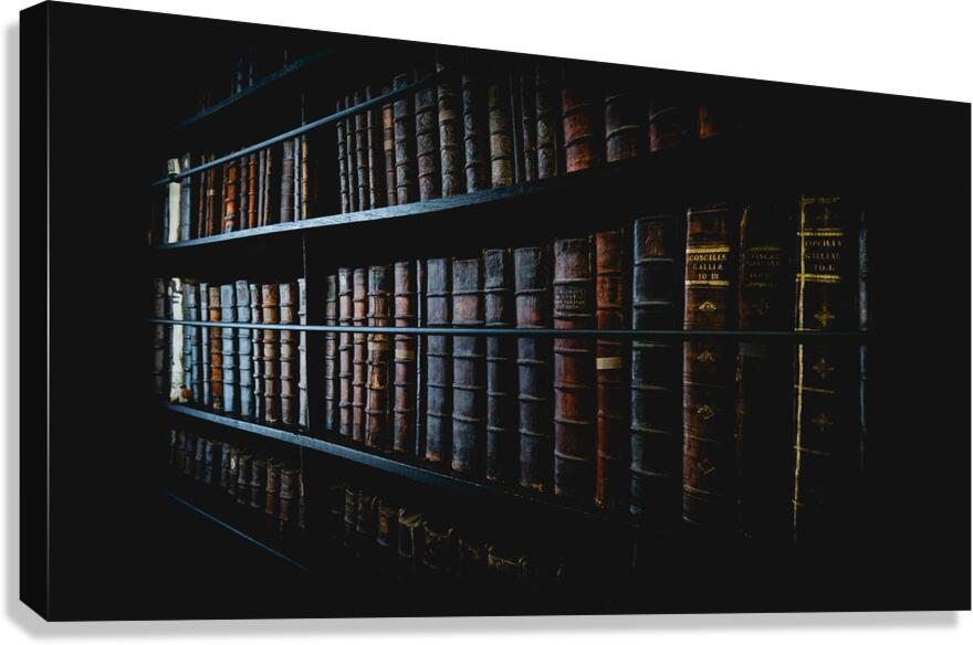 Marshs Library I Canvas Print
