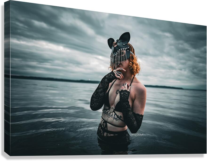 CCCI 22 Canvas Print