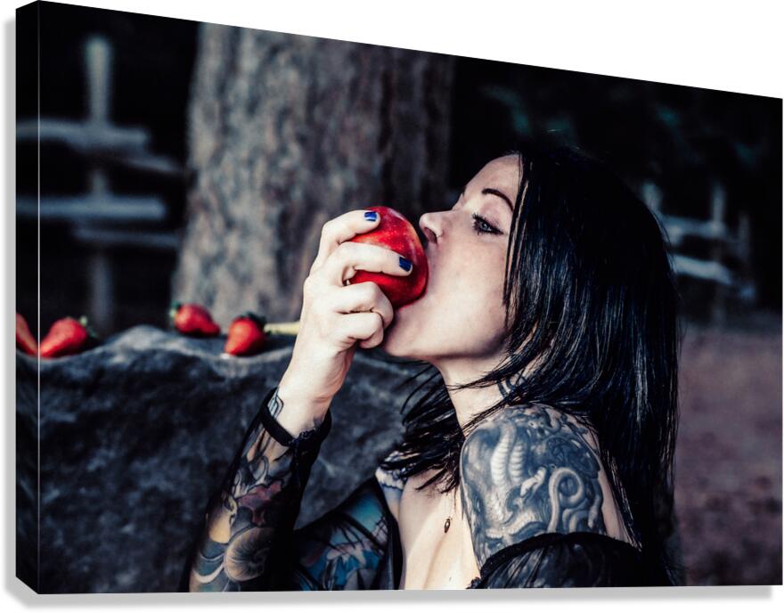 CCCI 15 Canvas Print