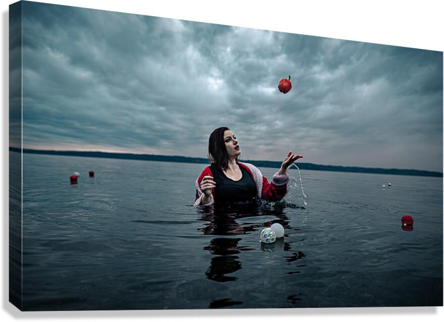 CCCI 12 Canvas Print