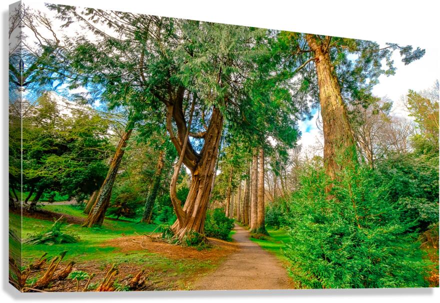 Powerscourt Gardens Canvas Print