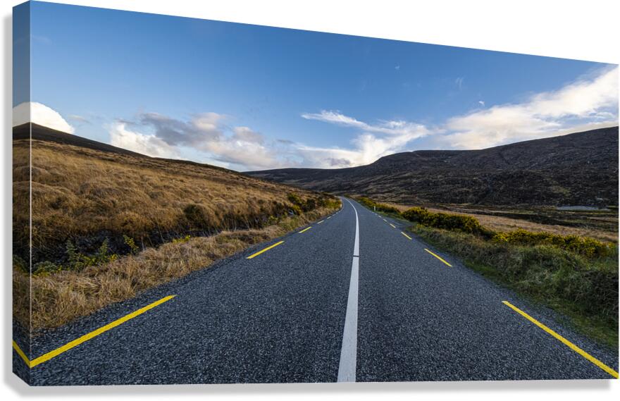 The Road I Canvas Print