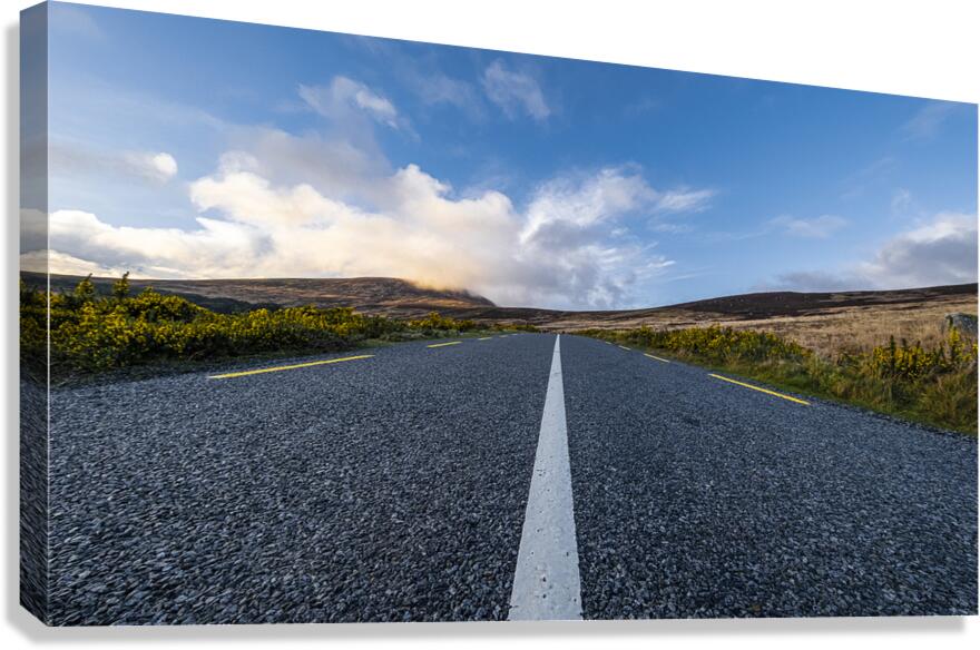 The Road Canvas Print