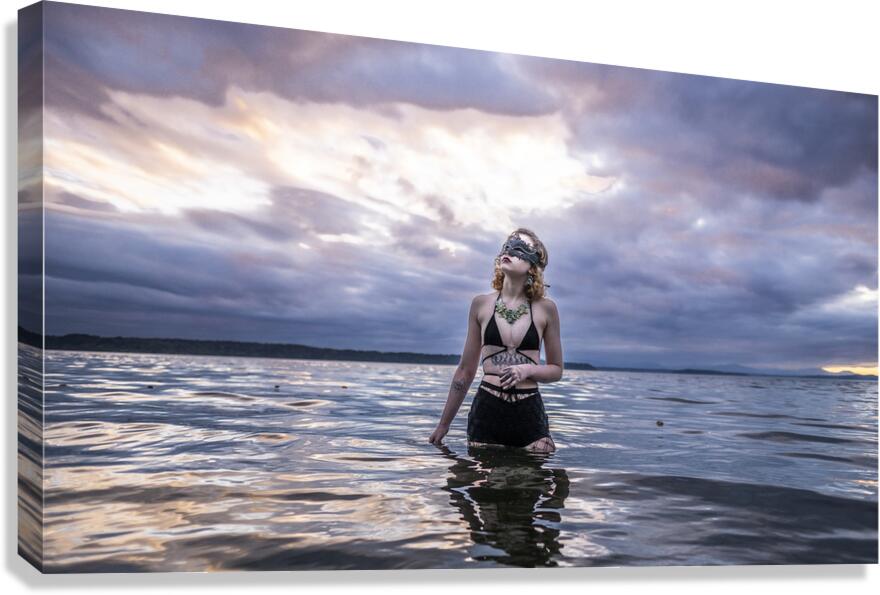 Solace in Celestial Tapestry Canvas Print