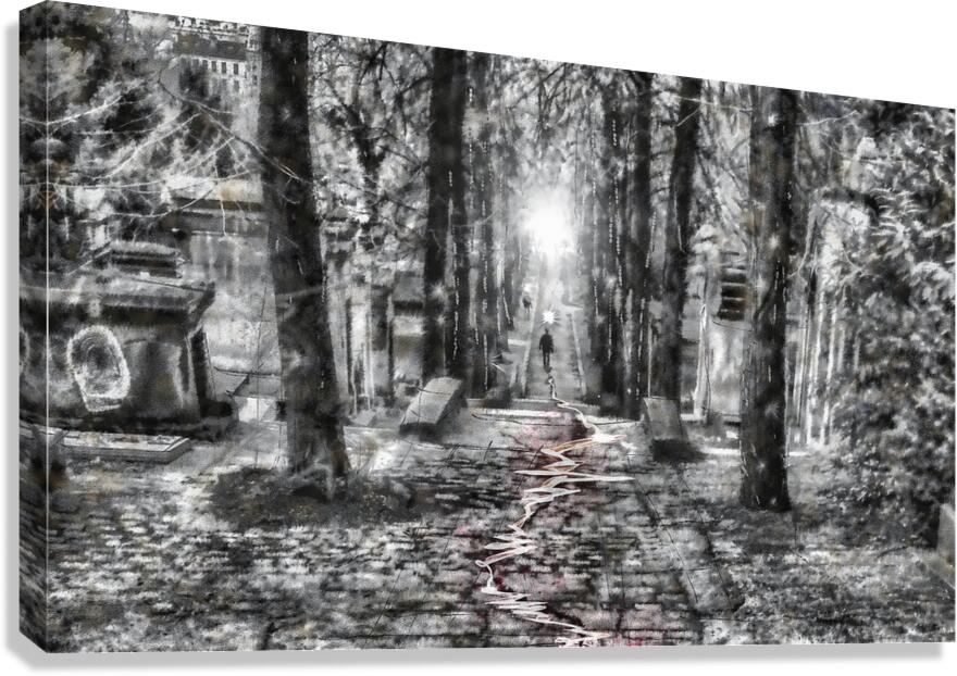 The Stranger Canvas Print