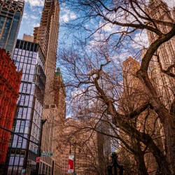 Standing on the Edge of Summer