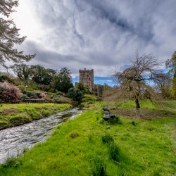 Blarney Castle II