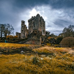 Blarney Castle I