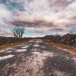 Burren National Park II