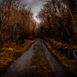Burren National Park III