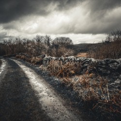 Burren National Park IV