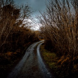 Burren National Park V