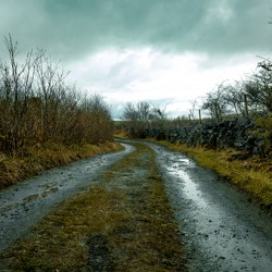 Burren National Park VI