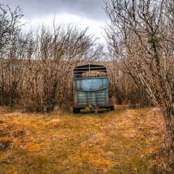 Burren National Park